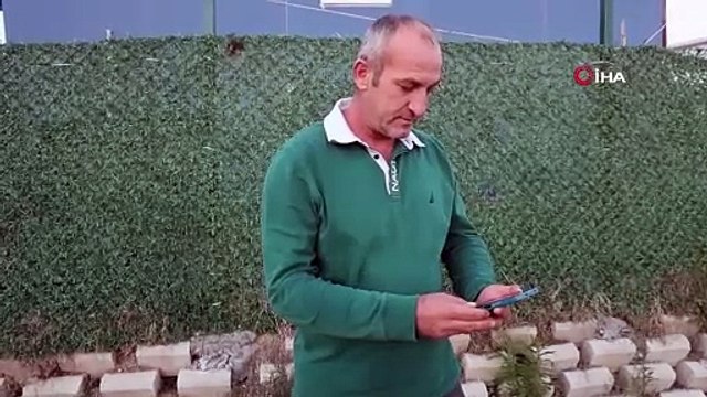 Hatay'da oltaya takılan dev köpek balığı balıkçıları korkuttu