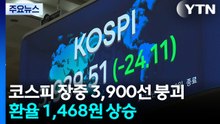 코스피 장중 3,900선 붕괴...환율 1,468원 상승 / YTN