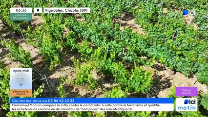 19/11/2025 - ici matin par ici Auxerre en vidéo