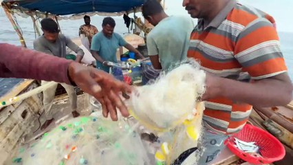 Gulf Waters Elite Catch — A Luxury Fishing Adventure Begins