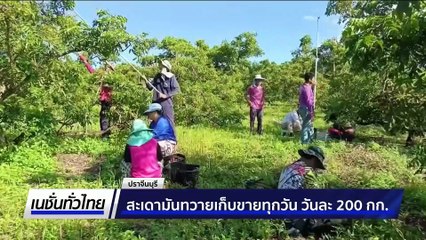 โรคปากเท้าเปื่อยระบาดหนักในรอบ 10 ปี  | เนชั่นทั่วไทย | 19 พ.ย. 68 | PART 2