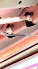 Fast Response NDA Infrared Lamps Drying water based inks for Screen printing on textiles