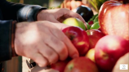 “Loss of Appetite in Seniors — Gentle Nutrition Tips & Small Meal Ideas”