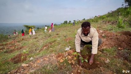 Ethiopia's green mission: Billions of trees for the future