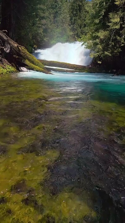 Nature sound