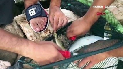 Amatör balıkçı: "Oltaya ağır bir şey takıldı, Önce büyük balık diye çok sevindik fakat..."