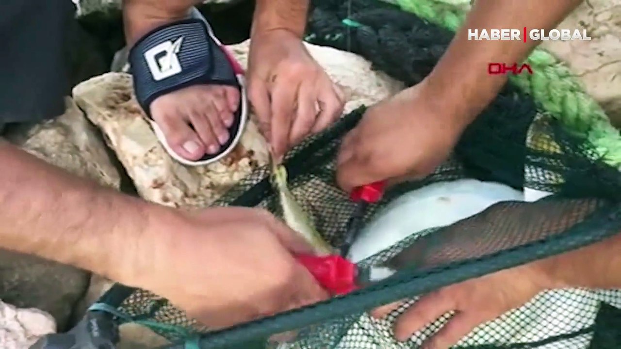 Amatör balıkçı: "Oltaya ağır bir şey takıldı, Önce büyük balık diye çok sevindik fakat..."