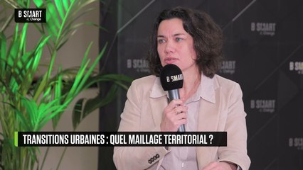 SMART IMPACT - Transitions urbaines : comment réussir la coopération ?