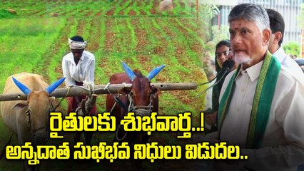 CM Chandrababu: అన్నదాత సుఖీభవ నిధులు విడుదల చేసిన చంద్రబాబు | Oneindia Telugu