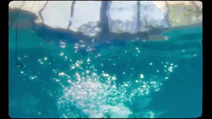 The Chronology of Water Bande-annonce (EN)