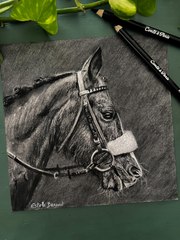 Dessin réaliste d’un cheval réalisé à la pierre noire #dessin #art #cheval