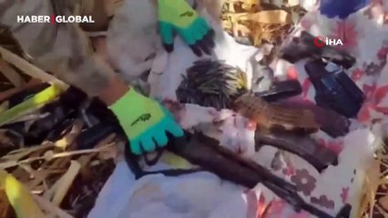 Mısır tarlasında patlayıcı madde ve silahlar ele geçirildi: 9 gözaltı