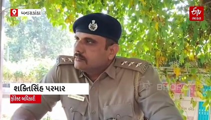 બનાસકાંઠા: નીલગાયનો શિકાર કરતી 14 સભ્યોની ગેંગ ઝડપાઈ, 10 શિકારીઓ આર્મ્સ એક્ટ સહિત વાઇલ્ડ લાઇફ એક્ટ હેઠળ જેલમાં