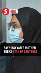 Zayn Rayyan case: Court sets Dec 4 to hear mum's application for stay of sentence