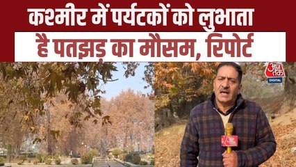 कश्मीर में पतझड़ के मौसम में देरी ने क्यों बढ़ाई लोगों की फ‍िक्र, जानें