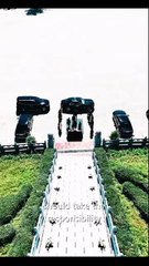 Miraculous Baby Ancestor The Succession War Chinese Drama - English Sub