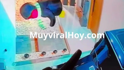 Delincuentes se llevan los espejos del carro del urbano Lomiiel en pleno robo