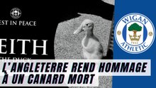 L’Angleterre rend hommage à un canard mort