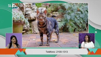 SLP Miércoles 12 nov entrevista Dra.Junibeth Gonzalez Ramírez Veterinaria