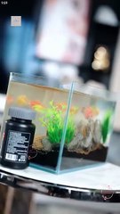 Chasing My Bestie's Brother in Law Chinese Drama - English Sub