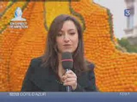 Elections municipales : un bide pour le FN canal parisien