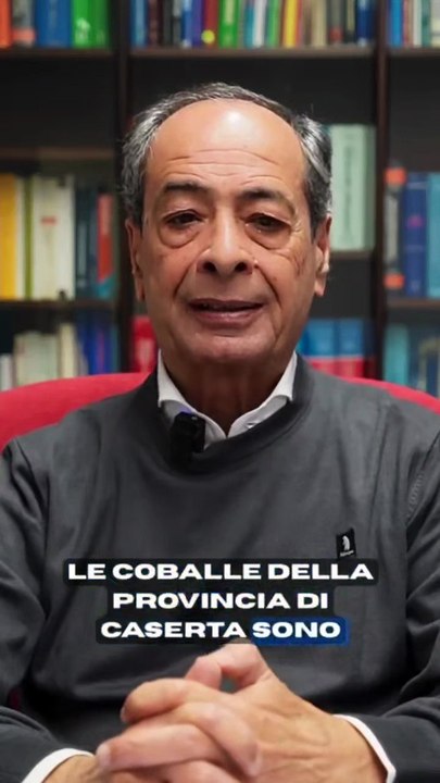 Piscitelli  - :   ’  (19.11.25)
