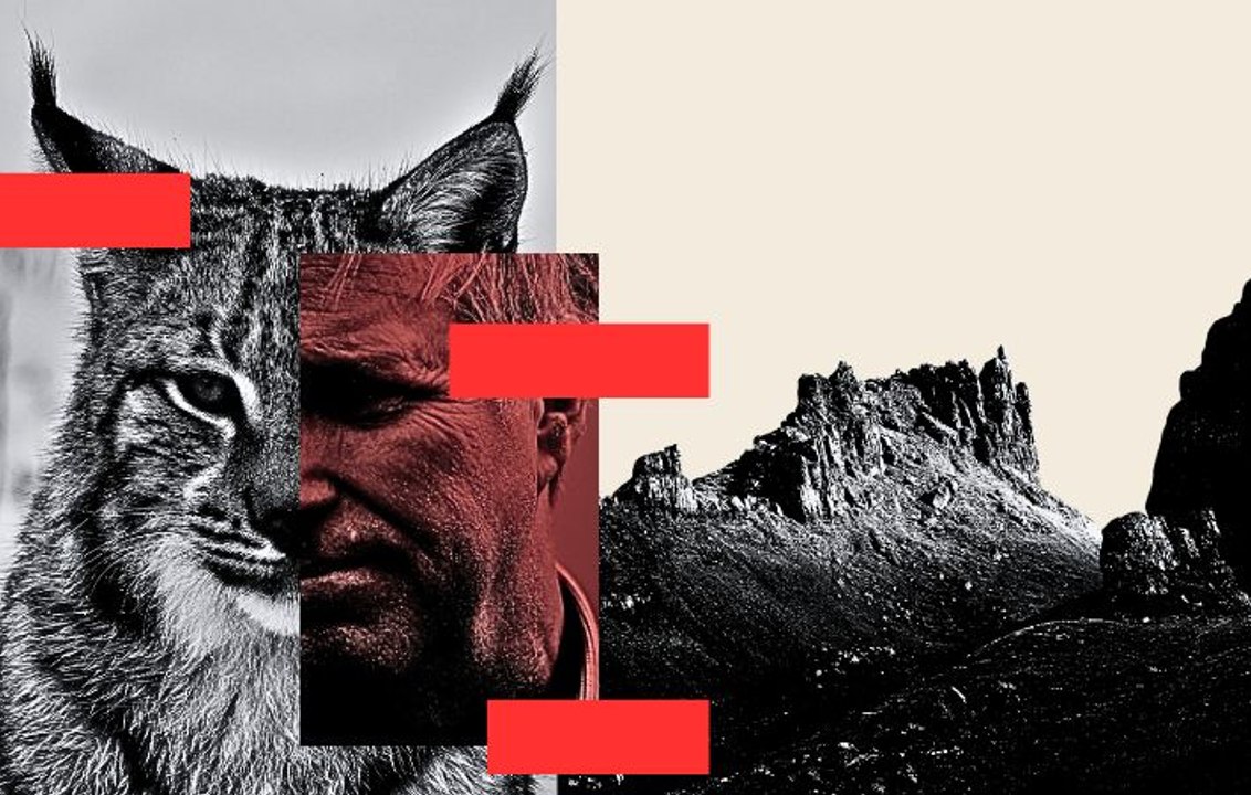 The Lynx Comeback Explained