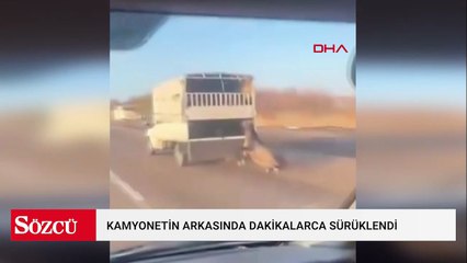 Kamyonetin arkasında dakikalarca sürüklenen atın durumu iyi