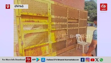 ಕೃಷ್ಣಮೃಗಗಳ ಸರಣಿ ಸಾವಿನ ಬಳಿಕ ಕಿತ್ತೂರು ರಾಣಿ ಚನ್ನಮ್ಮ ಮೃಗಾಲಯದ ಪರಿಸ್ಥಿತಿ ಹೇಗಿದೆ? ಪ್ರತ್ಯಕ್ಷ ವರದಿ