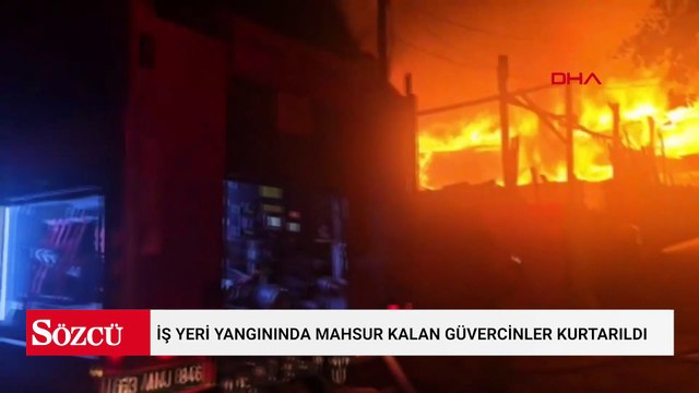 İş yeri yangınında mahsur kalan güvercinler kurtarıldı