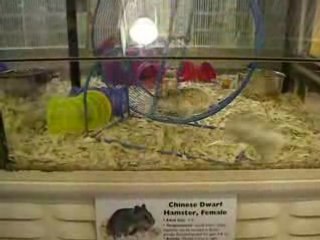 What'd they put in the water?