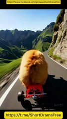 Signed in Secret, Sealed in Farewell Chinese Drama