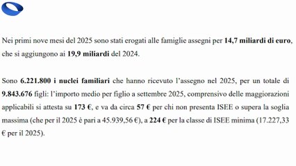 ASSEGNO UNICO 2025: Spesi 14,7 Miliardi in 9 Mesi! I dati INPS