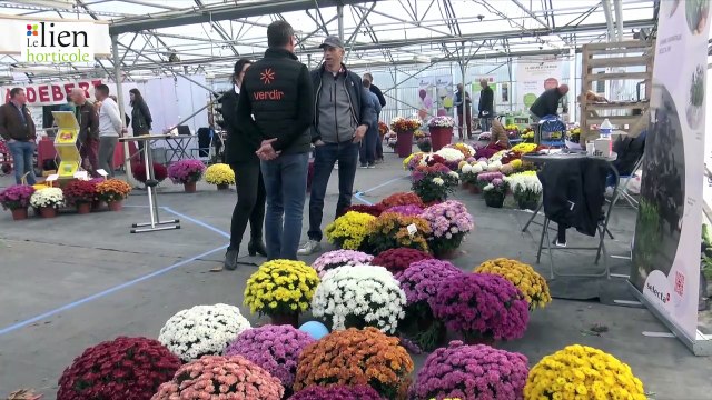 Un 10ᵉ Salon d’automne des Chrysanthèmes dynamique à Tournus