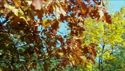 Rodzina Zastępcza Plus - Odcinek 280