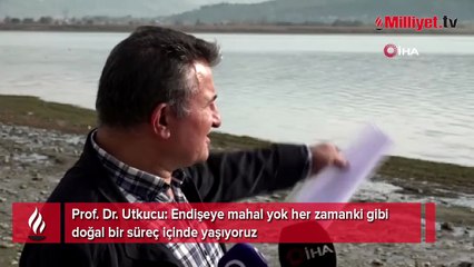 Sapanca Gölü'ndeki gizemli kabarcıklar depremin habercisi mi?