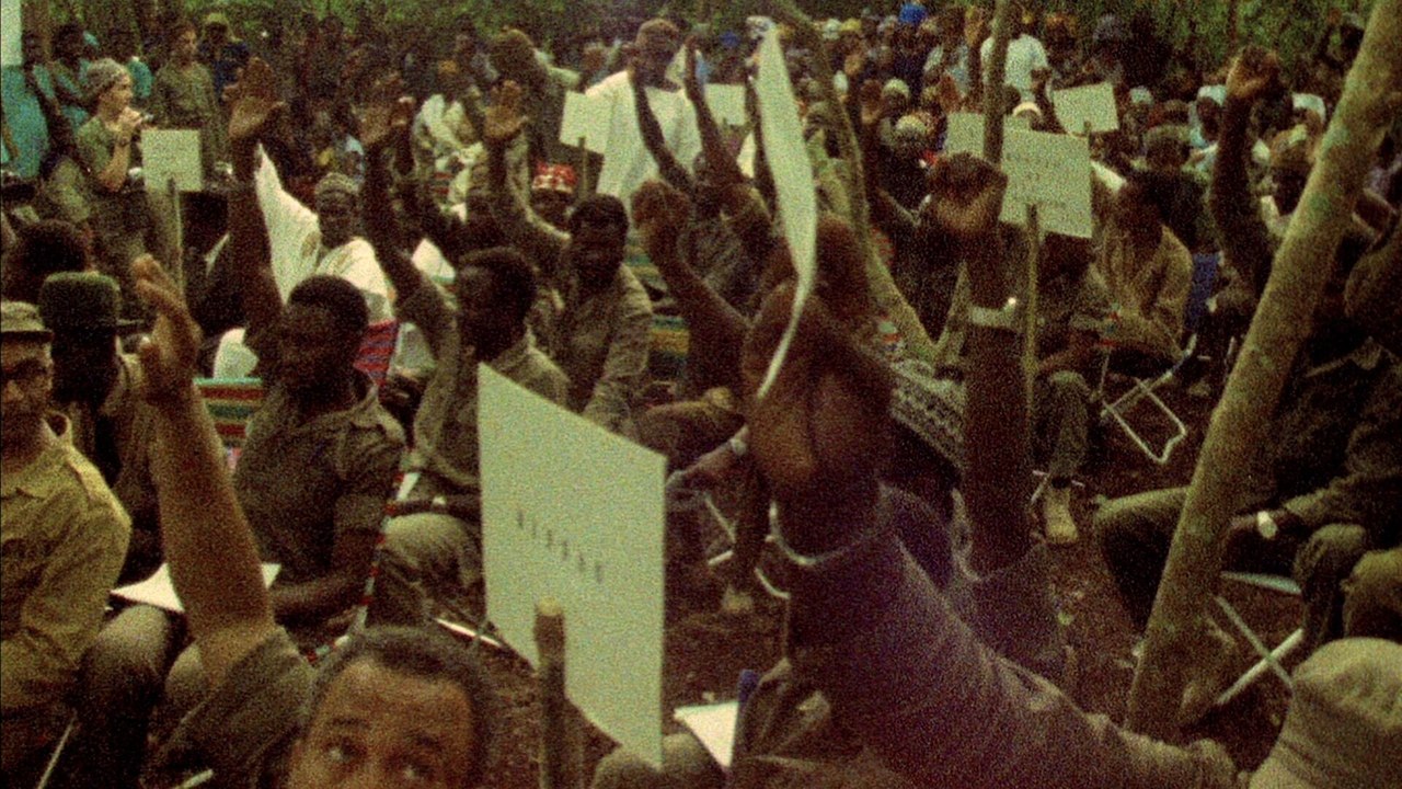 Concerning Violence