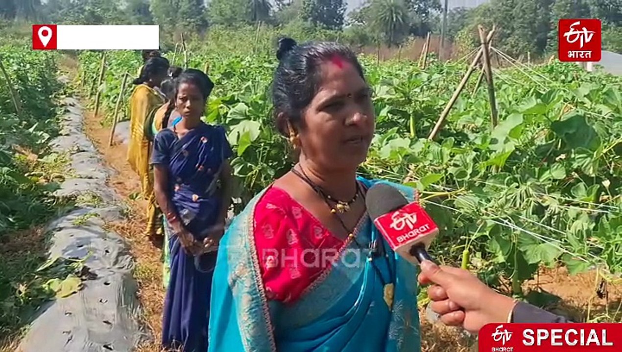 सक्सेस स्टोरी: बस्तर की महिला किसान ने प्रगतिशील खेती से बदली पहचान, दूसरों के लिए बनी मिसाल