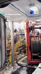 "Encore une bonne pêche" : dans la baie de Seine, les pêcheurs de coquilles Saint-Jacques ont le sourire