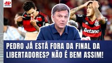 "PRESTEM ATENÇÃO no que EU VOU DIZER! O PEDRO..." MAURO CEZAR EXPLICA TUDO! | NOVA LESÃO no FLAMENGO