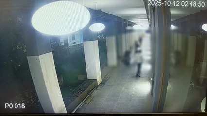 Milano, bocconiano accoltellato dal branco: le immagini dell'aggressione