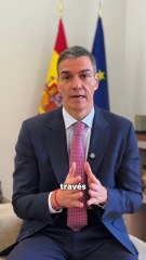 Pedro Sánchez - META deberá rendir cuentas en el Congreso de los Diputados (19.11.25)