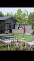 🍏💙⚠️✅🏴 11.10 - 11.24 🔥 Hero Should Never Stay Low dailymotion 🌍x9u2xps