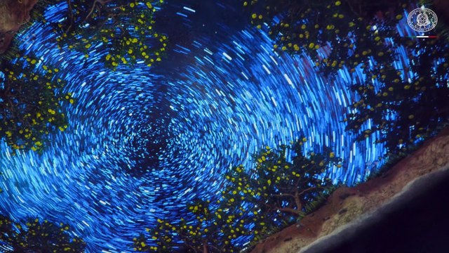 Predaia (TN - Il Presidente Meloni all'inaugurazione della Funivia delle Mele (18.11.25)