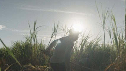 Trop chaud pour travailler