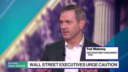 MFS CEO Ted Maloney Warns on Market Concentration
