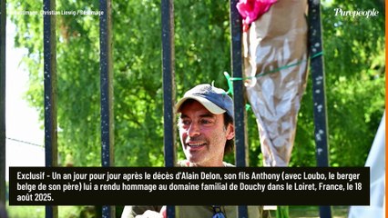 "Je l'aide à se déplacer" : cet être cher pour qui Anthony Delon a déménagé à Douchy, dans la propriété de son père Alain Delon