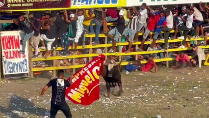 Corralejas Algarrobo 2025 | Toros de Mane Bornacelly