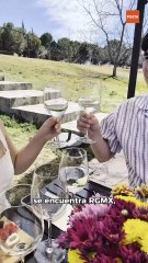 RGMX: La experiencia del vino y la sustentabilidad en Parras de la Fuente