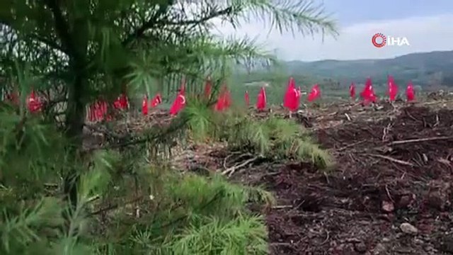 Bursa’da şehitler anısına fidan dikildi